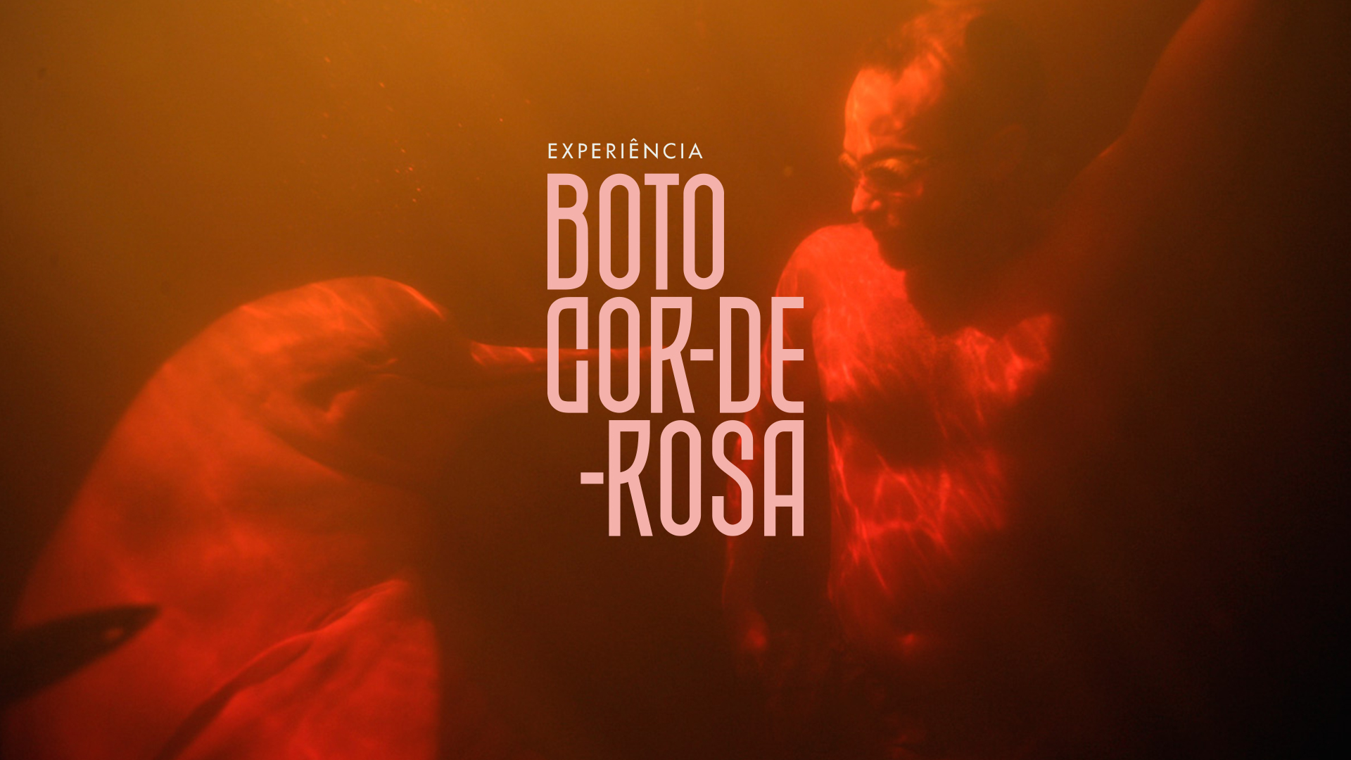 EXPERIÊNCIA-BOTO-COR-DE-ROSA